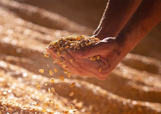 ユニライフについて